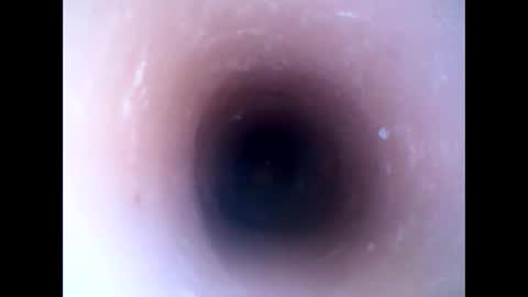 hardhammerboy online show from January 19, 8:19 pm