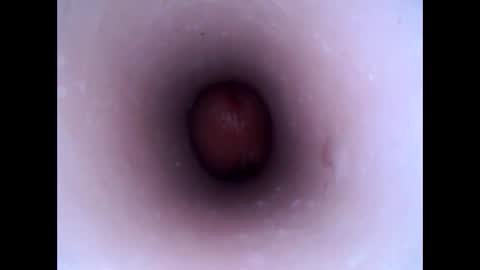 hardhammerboy online show from January 20, 3:28 pm