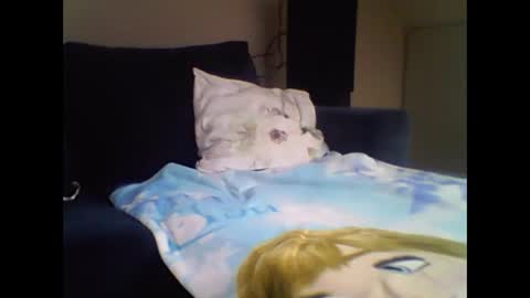 Snapshot of harterkarter chatting on February 17, 8:41 am harterkarter online show from February 17, 8:41 am