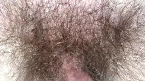 Arnold online show from February 4, 9:10 pm