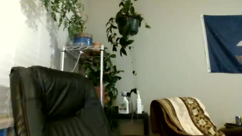 Hottop 1981 online show from July 6, 2:52 am