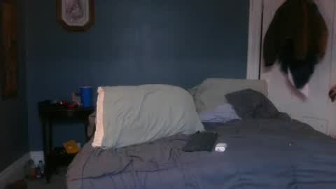 Pilgrim online show from March 4, 1:17 pm