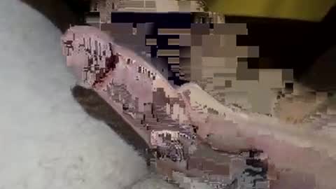 hung_mac0 online show from July 13, 6:32 pm