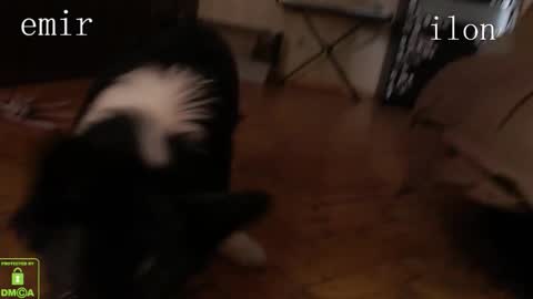 iinklk134 online show from February 24, 12:06 pm