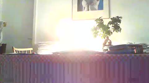 iknowtermit online show from May 31, 1:50 am