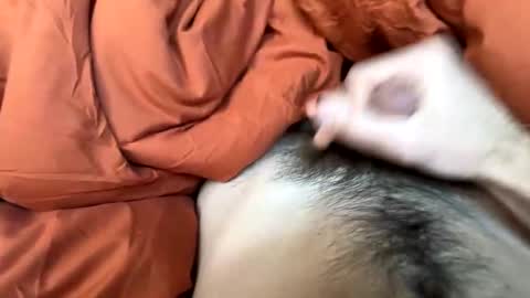 imakeucumonmyface online show from February 25, 9:27 pm