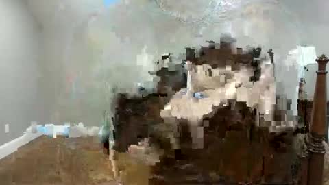 Leo online show from November 8, 3:04 pm