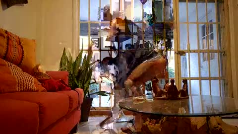 iscariot17 online show from January 27, 12:12 am