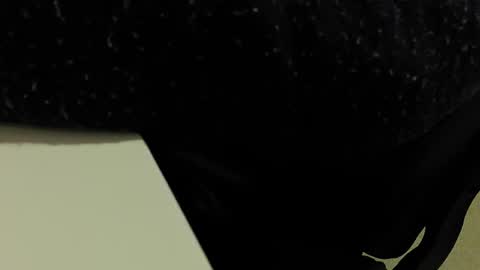 jackdaniels6i online show from January 26, 10:34 am