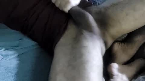 James Clapeyron online show from March 7, 11:05 pm