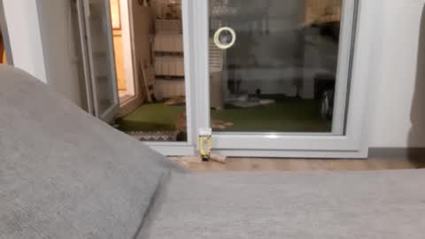 Jamie Lonnas online show from November 29, 4:09 pm