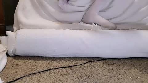 Bootyshows online show from December 2, 1:36 pm