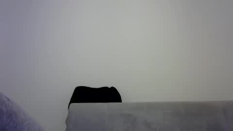 jaspal55 online show from November 9, 1:59 pm