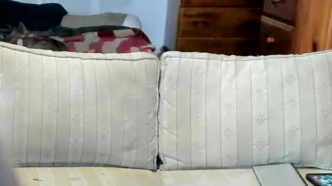 O F   jay short786 online show from January 17, 9:38 pm