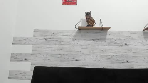 Jaycreedd online show from November 3, 11:50 pm