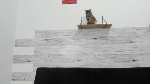 Jaycreedd online show from December 5, 4:19 am