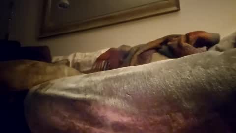 Snapshot of jcramirez1975 chatting on December 21, 3:03 am Jcramirez1975s online show from December 21, 3:03 am