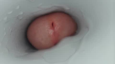 jeffrodgerschaturbat online show from January 14, 3:11 am