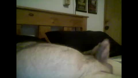 jerkmate6666 online show from January 15, 5:11 am