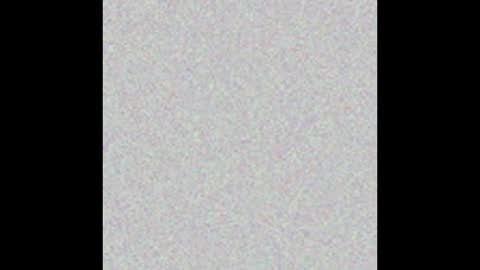 JBaraca online show from November 1, 1:37 pm