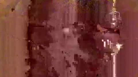 Snapshot of jodlsepp chatting on December 12, 11:47 pm jodlsepp online show from December 12, 11:47 pm