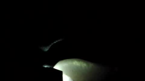 jonathanrossmyers858 online show from October 6, 5:34 am