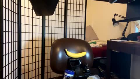 jondoe3657 online show from January 23, 3:58 am