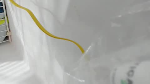 junior_bigcock3 online show from April 25, 6:49 pm