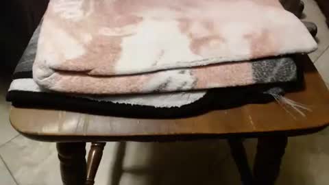 jwb9999 online show from November 11, 10:37 pm