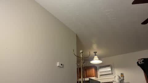 Kaiku77 online show from February 21, 5:52 am