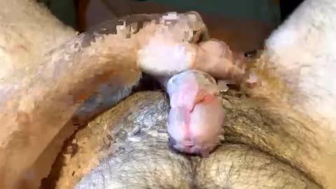 kb542643 online show from November 18, 8:34 pm