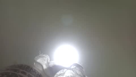 C e v o 1824 online show from January 6, 2:04 am