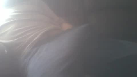 New accound cavilacion  online show from February 18, 8:27 am