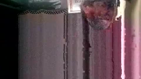 Snapshot of knock2wice1975 chatting on January 23, 2:55 am knock2wice1975 online show from January 23, 2:55 am