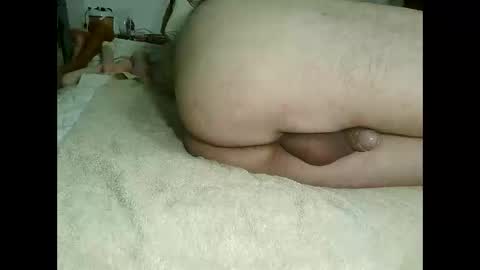 Snapshot of kotek400 chatting on December 30, 8:54 am kotek400 online show from December 30, 8:54 am