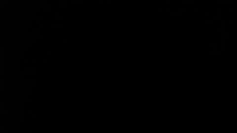 kvicali online show from February 5, 2:19 am