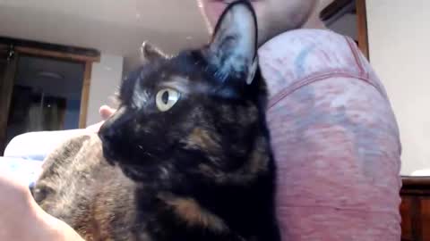 Snapshot of lancehardin chatting on March 3, 12:34 am Lance online show from March 3, 12:34 am