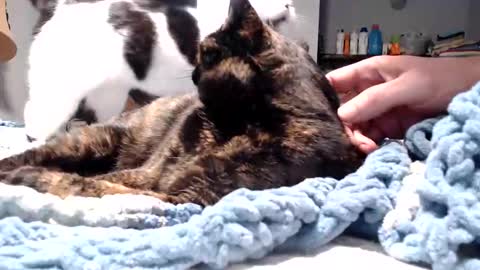 Lance online show from March 11, 11:01 pm