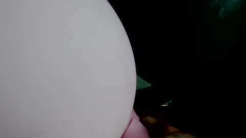 latexchris77 online show from July 20, 7:05 pm