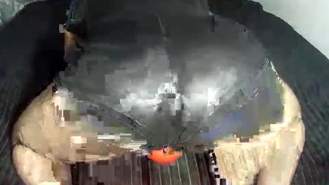 leatherman31 online show from November 25, 12:01 am