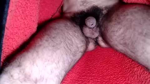 leccameloadesso2 online show from February 15, 9:06 pm