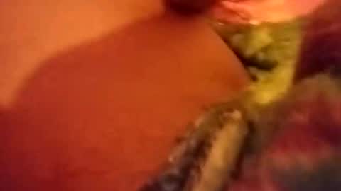 leo127709 online show from September 13, 8:37 am