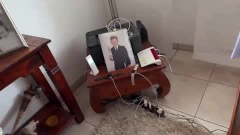 leo290364 online show from February 24, 8:48 am