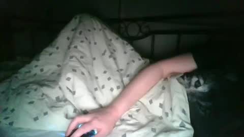 Leon online show from December 23, 2:31 am