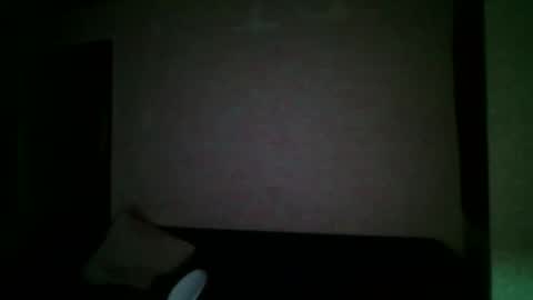 Snapshot of leporonga chatting on October 23, 2:59 am leporonga online show from October 23, 2:59 am