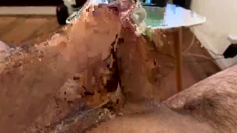 ler_11 online show from June 7, 10:17 pm