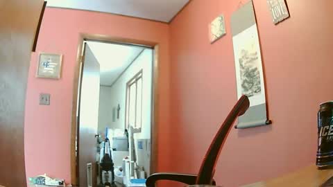 lesgrable67 online show from February 14, 6:08 pm