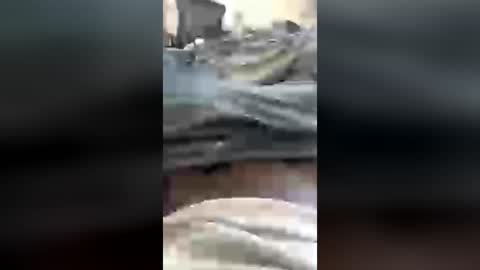 levi_ives online show from July 15, 1:40 pm