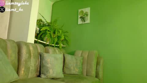 Snapshot of liamtaylor_ chatting on January 26, 12:16 am Tell me Liam online show from January 26, 12:16 am