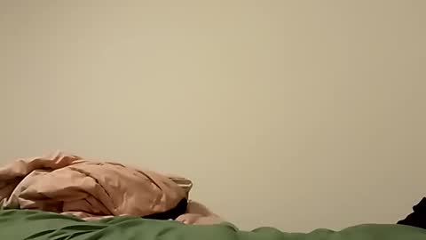 liberatojesus24 online show from November 19, 4:56 am